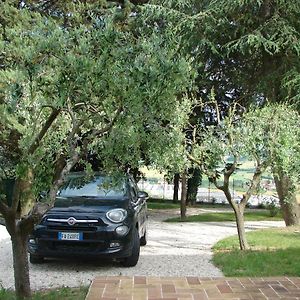 Mogliano Villa Poggio San Pietro Exterior photo