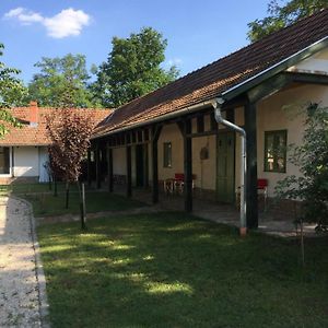 דירות Domaszék Farm House Exterior photo