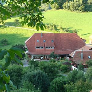 Mühlenbach Ferienwohnung Hof Exterior photo