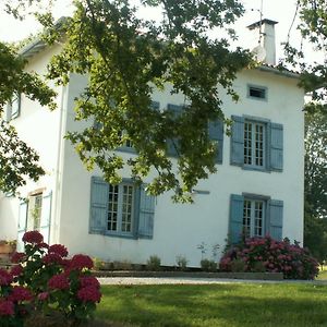 מלון Saint-Pée-sur-Nivelle Bidachuna Exterior photo