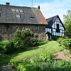 דירות אנטוויילר Landhaus Am Aremberg / Eifel Exterior photo
