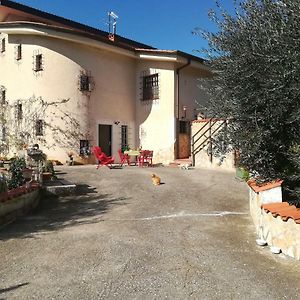 בית הארחה Sonnino 	Casa Fra Gli Ulivi Di Giuseppe Exterior photo