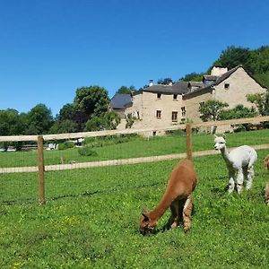 לינה וארוחת בוקר Quins La Ferme Des Andes Exterior photo