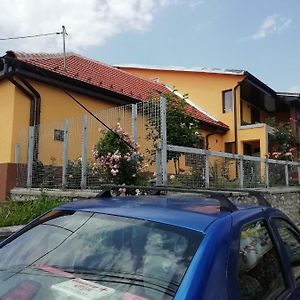 דירות Orşova Casa Darius Exterior photo