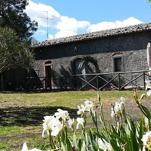 הוילה רנדצו Poggio Roseto Exterior photo