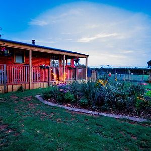 הוילה סטראוד Cherry Tree Glamping Exterior photo