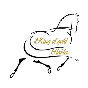 זוטנדאל King Of Gold Stables Appartement Met Stalling Voor 5 Paarden Exterior photo