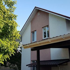 Hora Goratwins Guest House Near Boryspil Airport Exterior photo