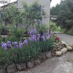 Medesano B&B San Nicola Exterior photo