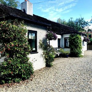 Donard The Wicklow Escape (Adults Only) Exterior photo