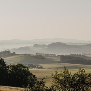 Lembach im Mühlkreis Ferienwohnung Im Muehlviertler Panorama Vierseithof Exterior photo