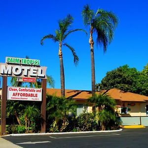 גלנדורה Palm Tropics Motel Exterior photo