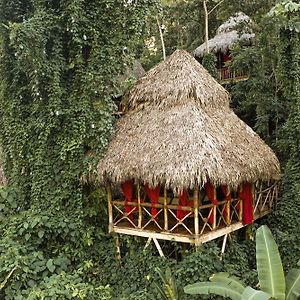 El Valle Dominican Tree House Village Exterior photo