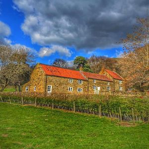 לינה וארוחת בוקר Ingleby Arncliffe Park House Exterior photo