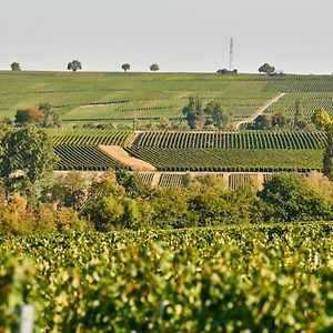 מלון Billigheim-Ingenheim Weingasthaus Wisser Exterior photo