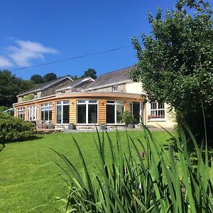 Cynghordy Llanerchindda Farm Guest House Exterior photo