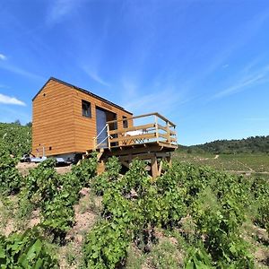 מלון פלורי Tiny House Au Coeur Du Vignoble Beaujolais Exterior photo