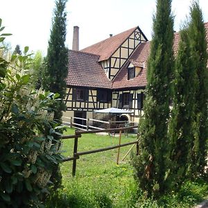 הוילה Bischwiller Maison De Vacances Alsace - Ferienhaus Elsass - Holiday House Alsace Exterior photo