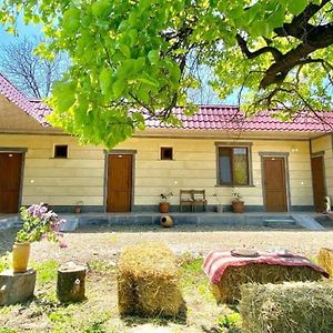 Odzun Aghasu Tun B&B Exterior photo