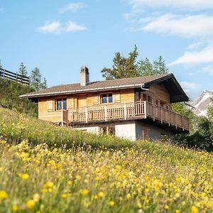 דירות Rosswald Labbrunnu In Den Walliser Alpen Exterior photo