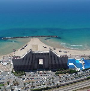 דירות חיפה בניין אלמוג - מגדל הים Exterior photo