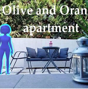 מישטראש Olive And Orange Apartment Exterior photo