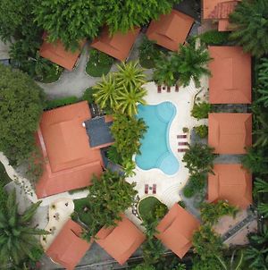 Playa Santa Teresa  Hotel Ritmo Tropical - Pool And Breakfast Exterior photo