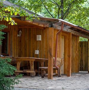 Cēsis Holiday House With Sauna Exterior photo