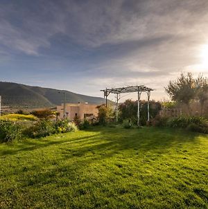 Tsiv'on Our Mount Meron Orchard - Your Perfect Getaway Exterior photo