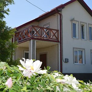 Chishki Villa & Spa Owerko Exterior photo