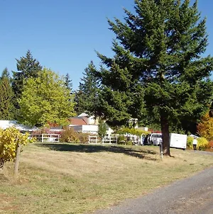 North Plains Willamette Valley Vineyard Home Exterior photo