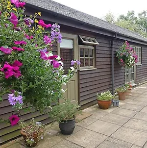 דירות Rotherfield Peppard Country Garden Retreat Near Henley On Thames Exterior photo