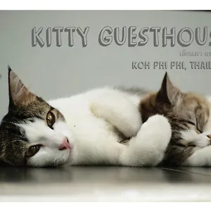קו פי פי Kitty Guesthouse Exterior photo